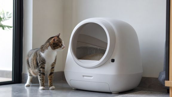 Distributeurs automatiques de litière pour chats : efficacité, entretien et consommation