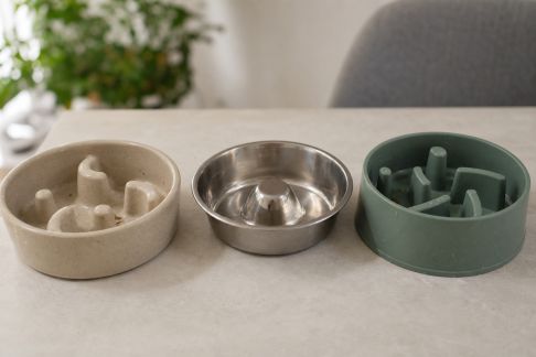 Comparatif des gamelles anti-glouton pour chiens et chats : efficacité, design et nettoyage