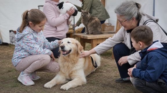 La place des animaux de compagnie dans les fêtes et événements de village