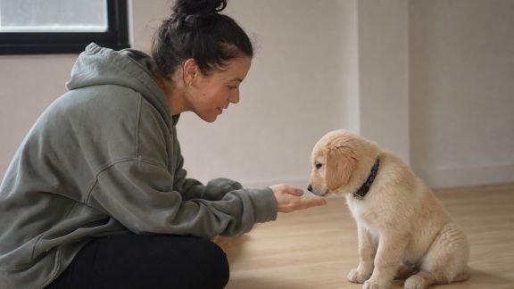 Interview d'un comportementaliste canin sur l'intégration des chiots en famille