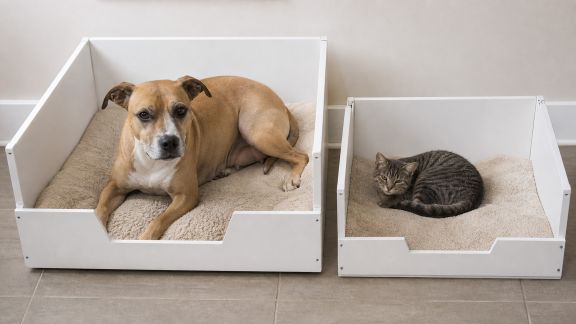 Comparatif des caisses de mise bas pour chiennes et chattes : sécurité et praticité lors des naissances