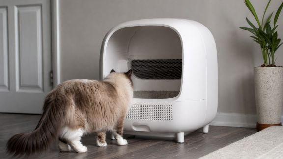 Essai de bacs à litière connectés : gestion intelligente des besoins de votre chat