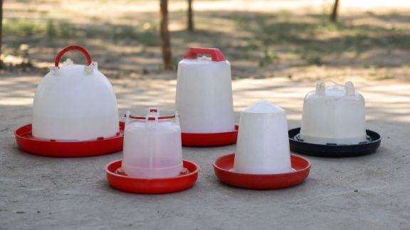 Comparatif des abreuvoirs automatiques pour poules : capacité, entretien et résistance
