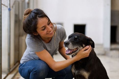 La croissance du bénévolat animalier chez les millennials : engagement et tendances