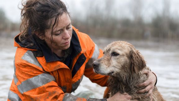 La gestion des animaux lors des catastrophes naturelles : avancées et défis récents