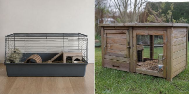 Clapier d’intérieur ou d’extérieur pour cochon d’Inde : lequel choisir ?