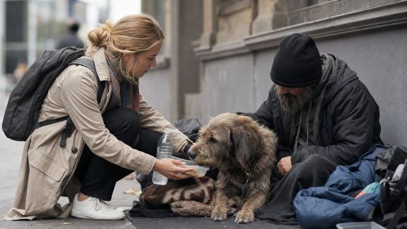 Témoignage d'un bénévole en maraude animalière : venir en aide aux animaux des sans-abri
