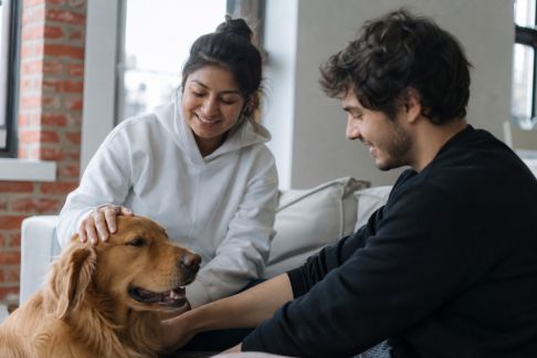 Les tendances d’adoption collaborative : quand partager son animal séduit les citadins