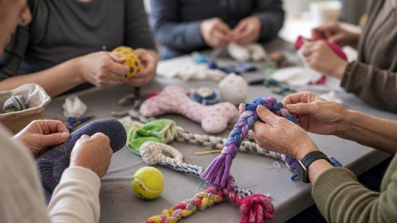 Ateliers collectifs de fabrication de jouets pour chiens et chats dans la communauté