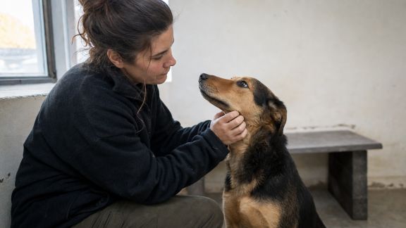 Parole à une bénévole en association de protection animale : s’engager pour nos compagnons