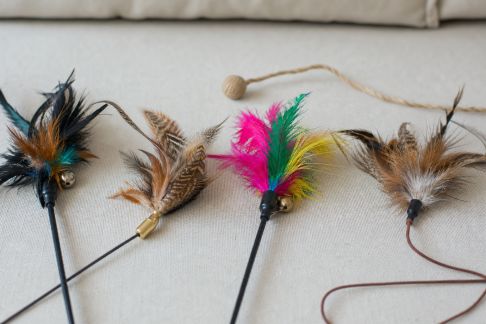Comparatif des jouets à plumes pour chats : quels modèles captivent vraiment leur attention ?