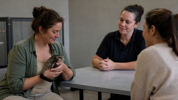 Discussion avec une responsable de refuge sur l'adoption responsable des animaux exotiques
