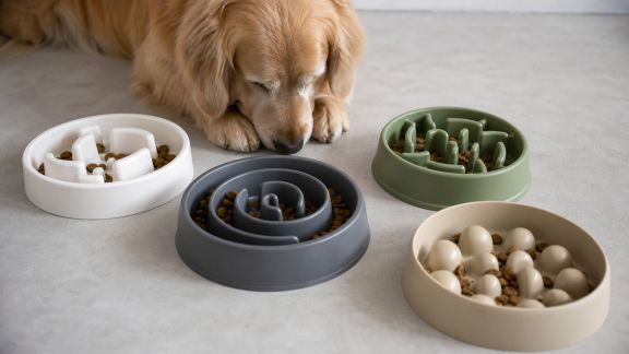 Comparatif de gamelles anti-glouton : quelles solutions pour les chiens trop gourmands ?