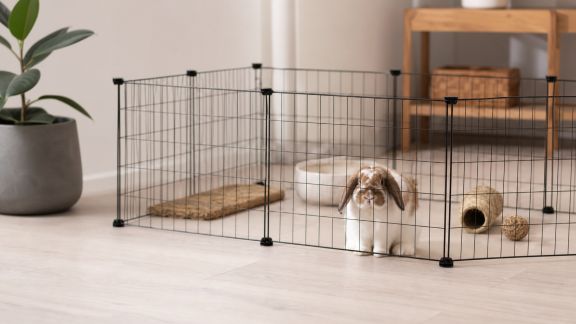 Avis sur les enclos pliables pour lapins et rongeurs : praticité et sécurité à domicile