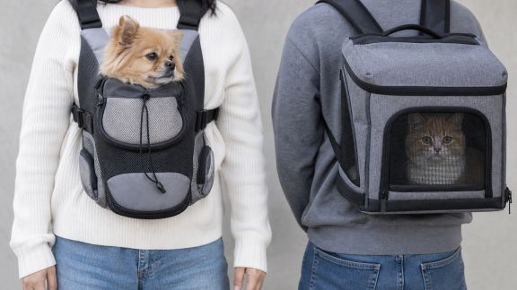 Comparatif des sacs de transport ventraux et dorsaux pour petits animaux : ergonomie et sécurité