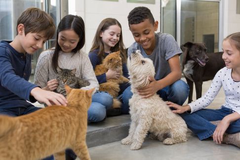 Développer des liens entre écoles et refuges : quand les élèves s'engagent pour les animaux