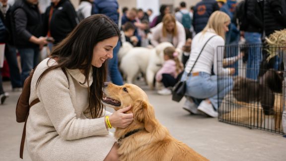 Événements et salons animaliers : les nouveautés qui font bouger 2026