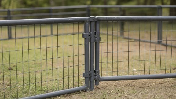 Meilleures solutions de clôtures modulables pour enclos d’animaux : installation, flexibilité et coût