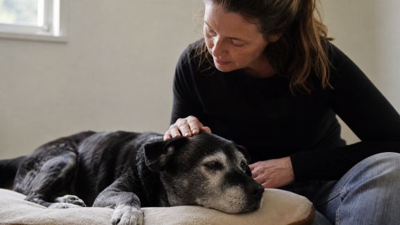 Comprendre le deuil animalier : comment accompagner son animal et soi-même