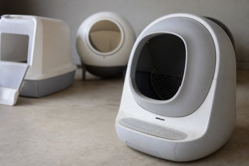 Comparatif des litières autonettoyantes pour chats : praticité, bruit et économies