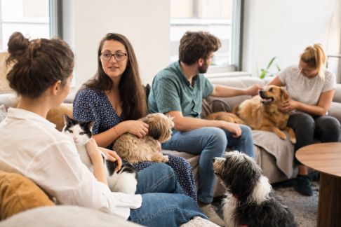 Les clubs sociaux pour maîtres et animaux : un phénomène en pleine expansion