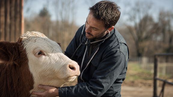 Entretien avec un vétérinaire rural : spécificités et défis au quotidien
