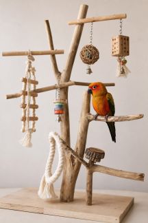 Comment créer un arbre à jouets évolutif pour perroquet ou inséparable