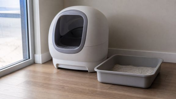Test de robots pour nettoyer les litières de chats : véritable révolution ou gadget ?