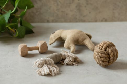 Jouets éco-conçus : la nouvelle vague d’innovations responsables pour nos compagnons